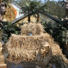 Arata Pumpkin farm Half Moon Bay