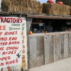 Arata Pumpkin farm Half Moon Bay
