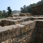 Arata Pumpkin Farm Hay Maze Half Moon Bay