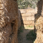 Arata Pumpkin Farm Hay Maze Half Moon Bay
