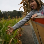 Arata Pumpkin Farm Half Moon Bay