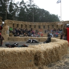 Arata Pumpkin Farm Gladiator Fights Western Circle of Swordfighters Half Moon Bay