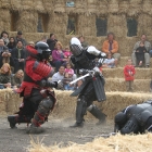 Arata Pumpkin Farm Gladiator Fights Western Circle of Swordfighters Half Moon Bay